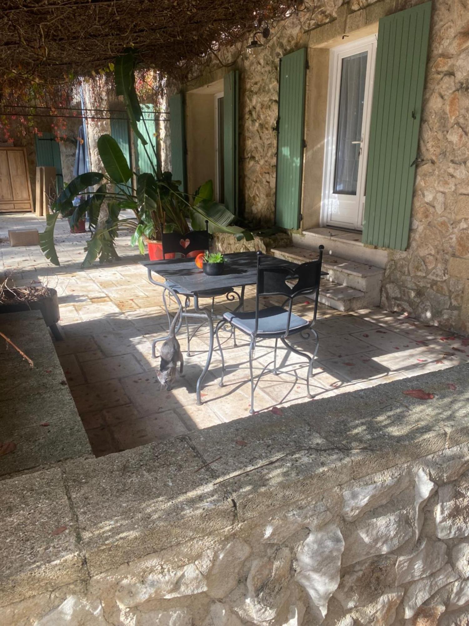 לינה וארוחת בוקר אביניון Mas De L'Ile מראה חיצוני תמונה